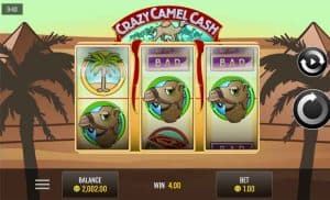 Crazy Camel Cash